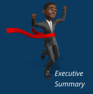 Executive Summary